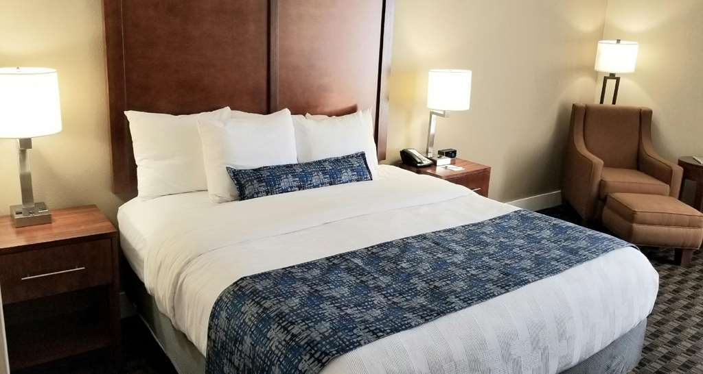 Best Western Plus Greenville I-385 Inn & Suites Quarto foto