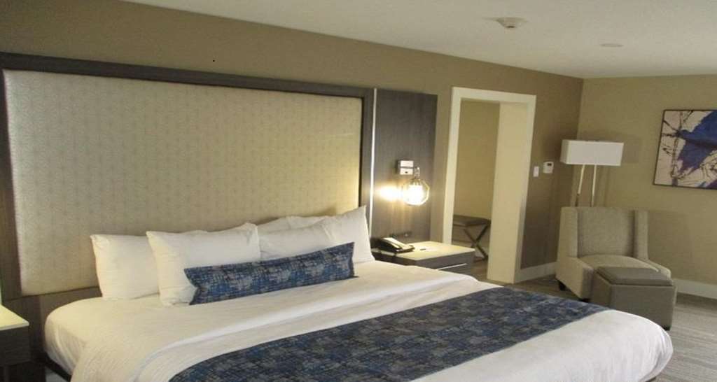 Best Western Plus Greenville I-385 Inn & Suites Quarto foto
